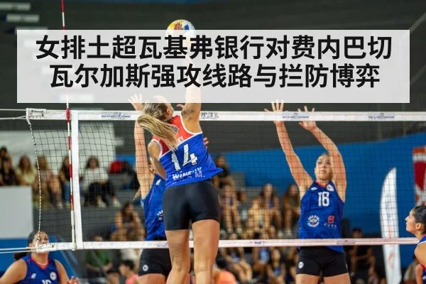 女排土超瓦基弗银行对费内巴切瓦尔加斯强攻线路与拦防博弈